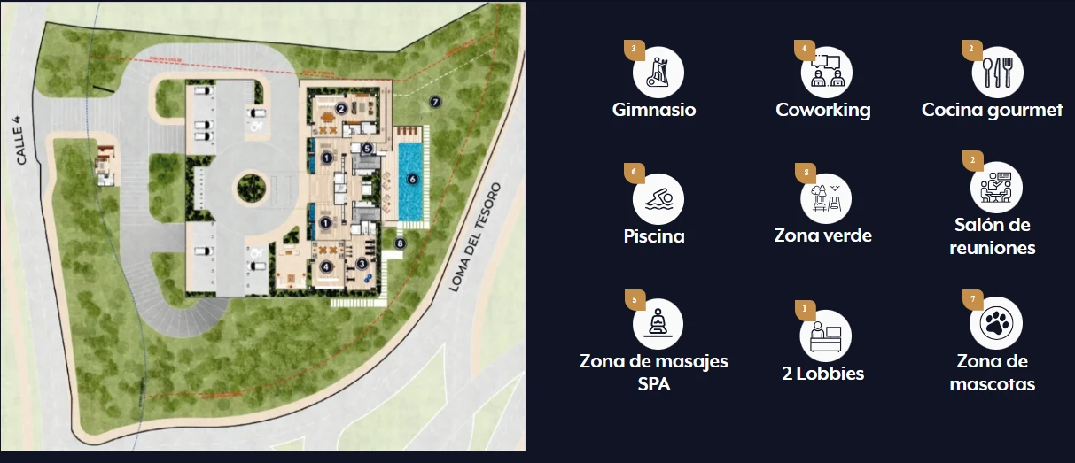 Plano 7