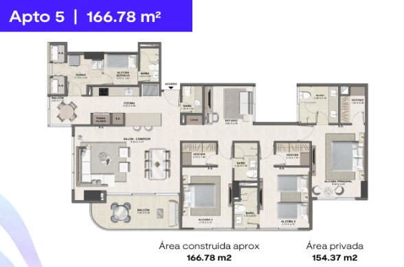 Plano 6