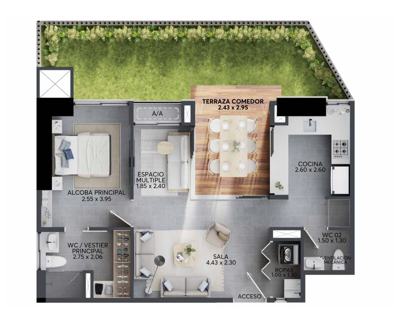 Plano 6