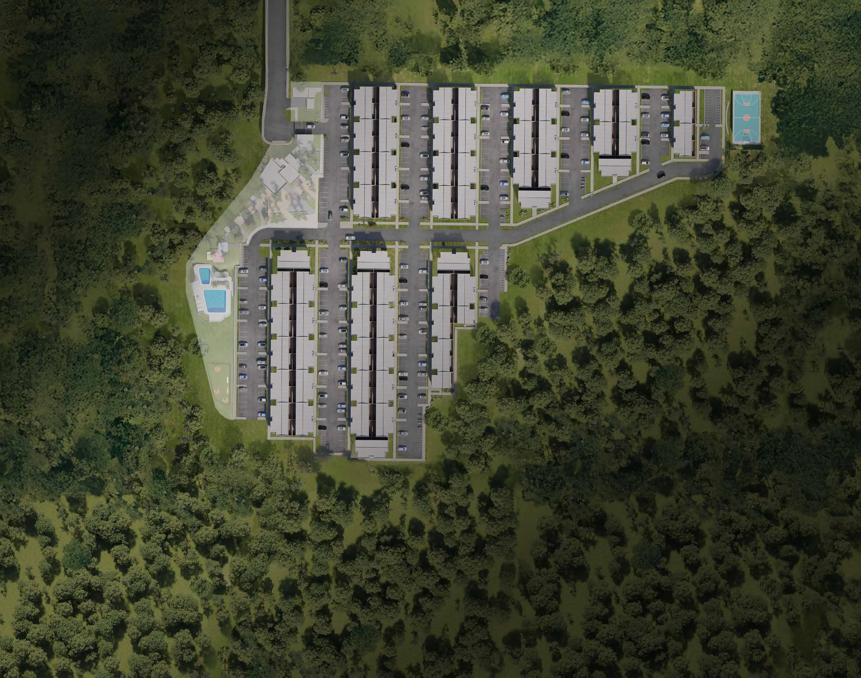 Plano 6