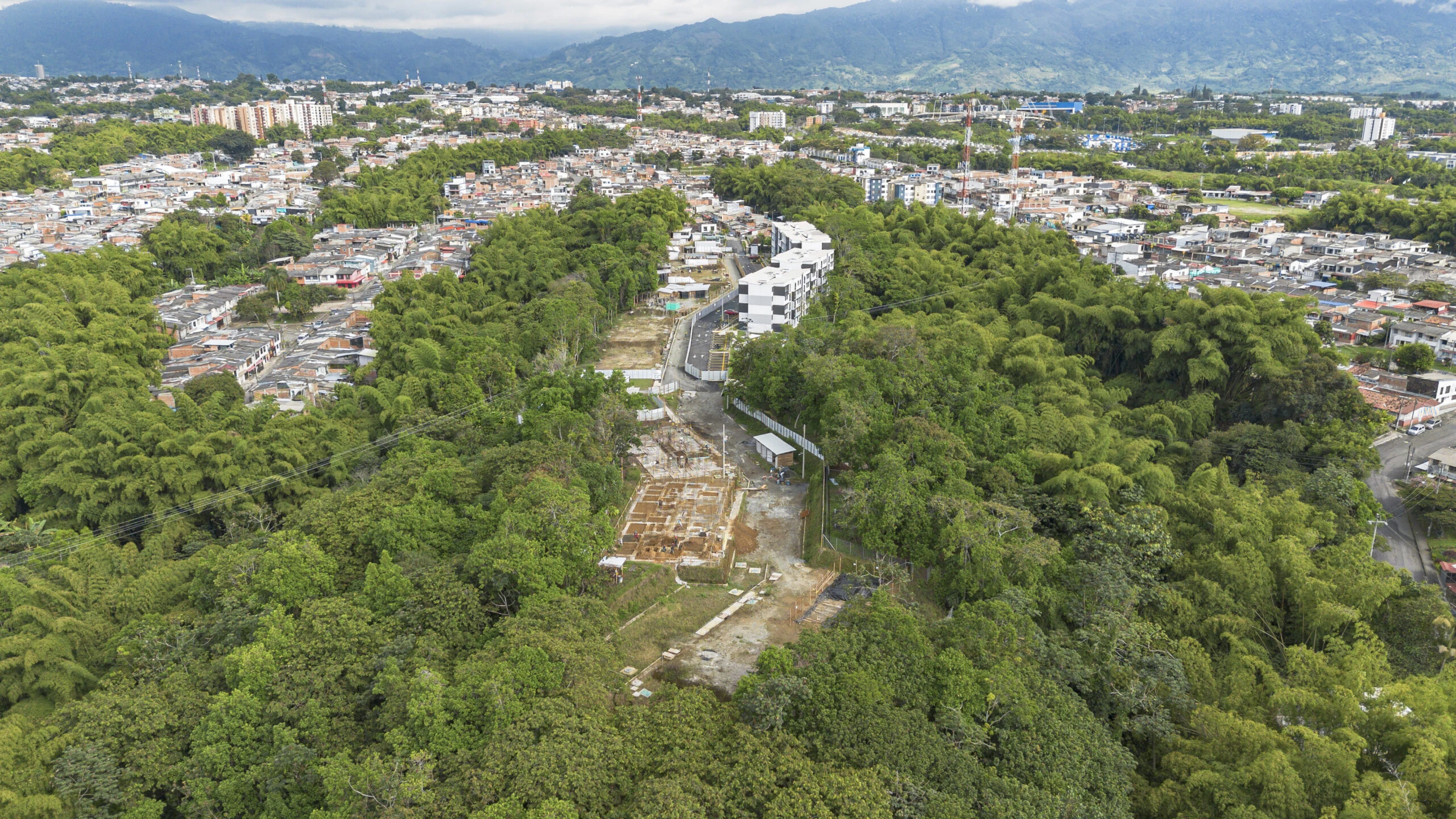 Plano 4
