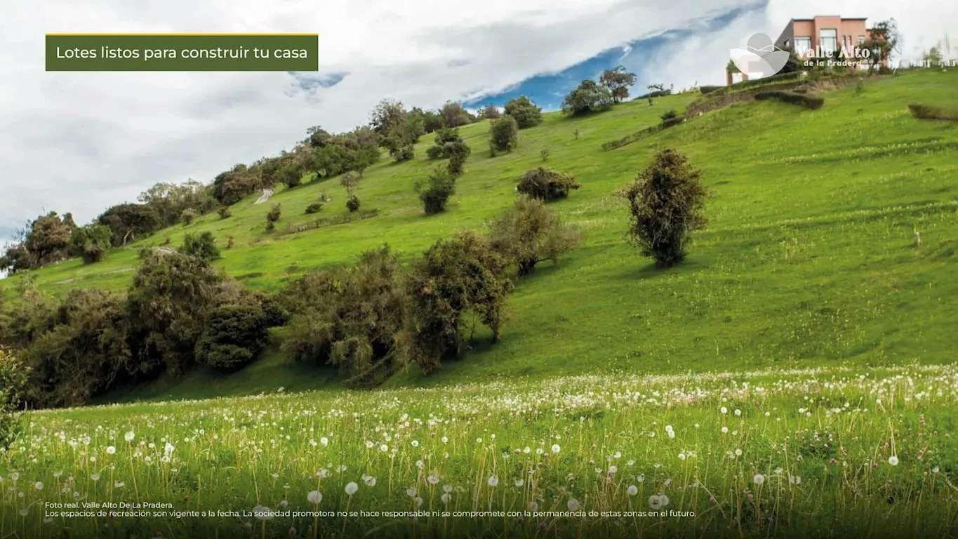 Proyecto en La Calera