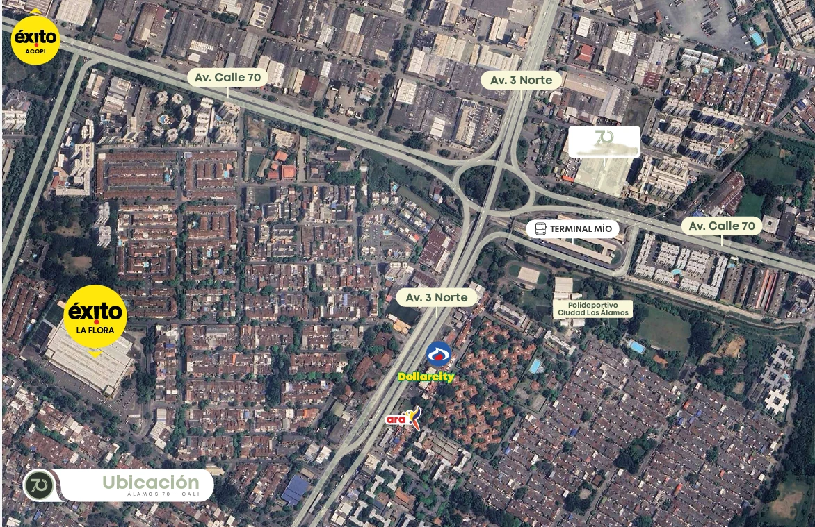 Plano 6