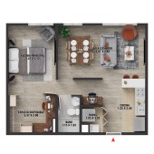 Plano 5
