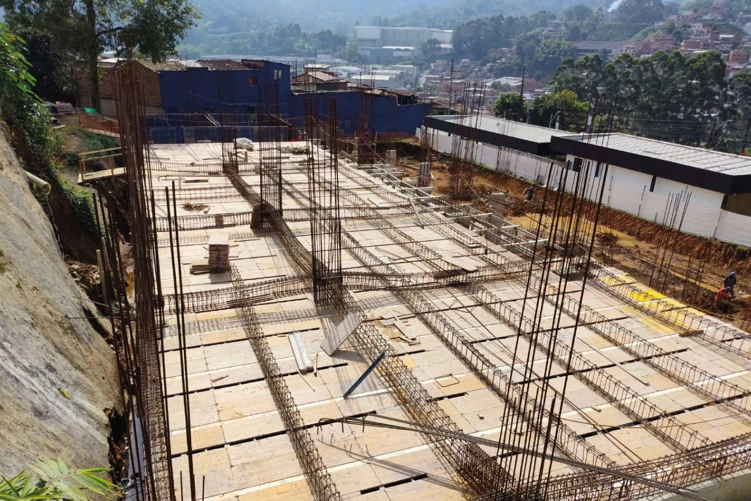 Plano 6