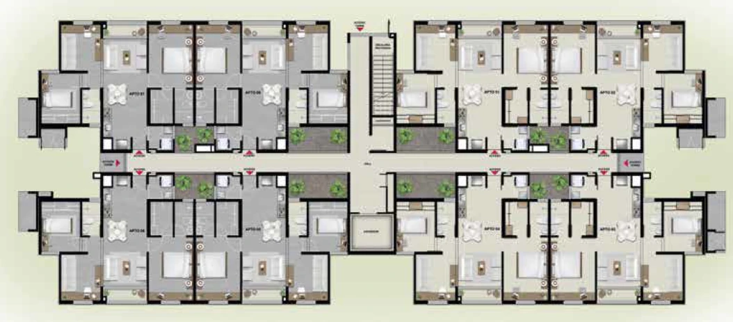 Plano 6