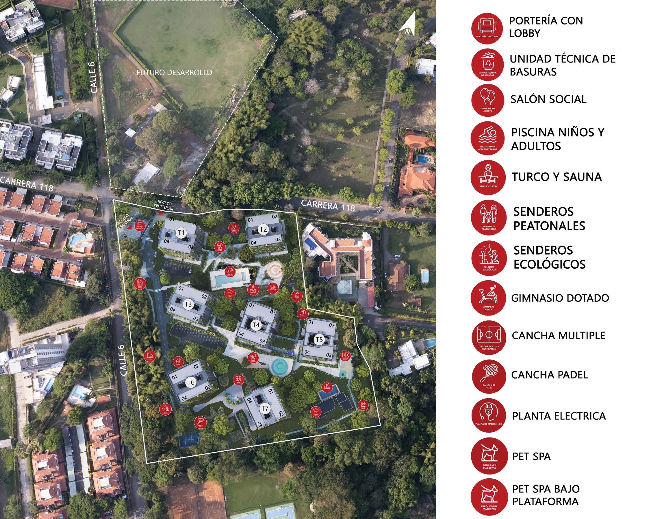 Plano 8