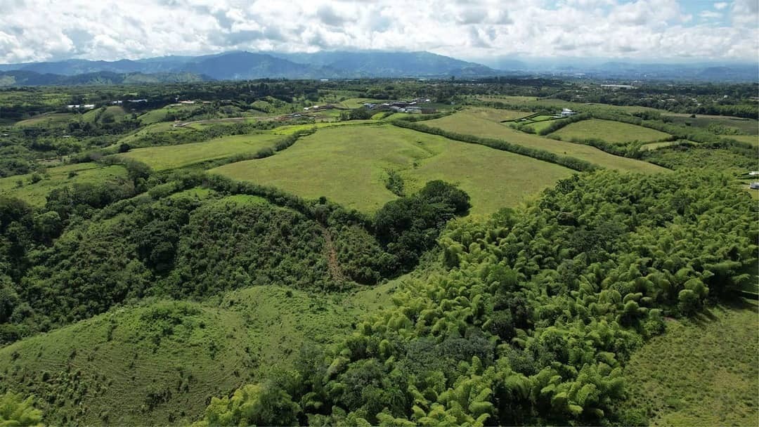 Proyecto en Pereira